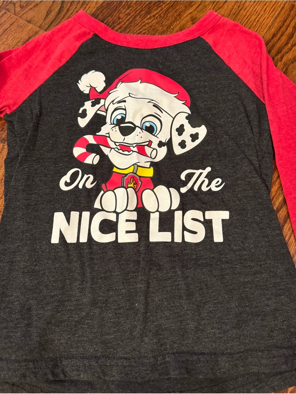 PAW Patrol x Jumping Beans Marshall Christmas "Nice List" Raglan Tee - 4T